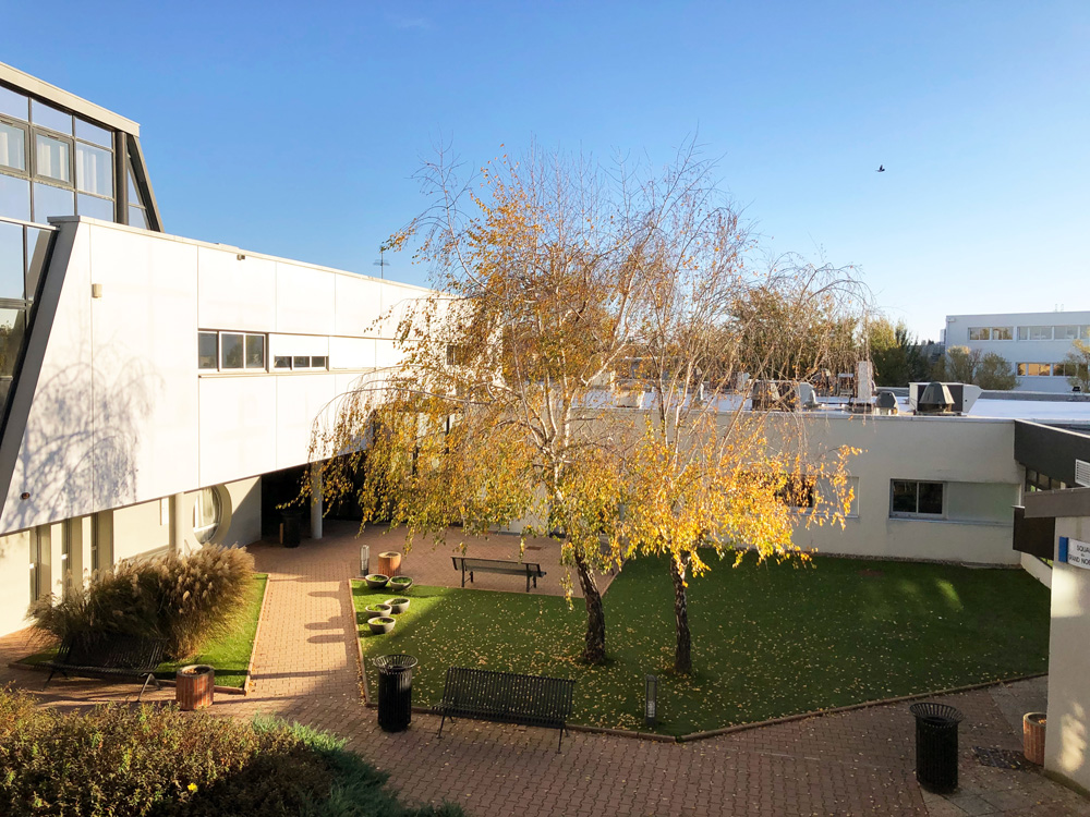 Le patio de la CFA en automne